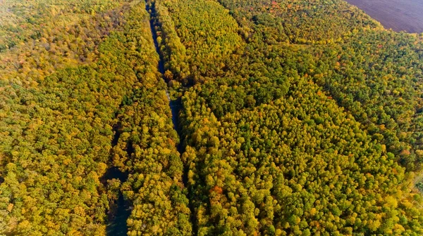 Luftaufnahme des bunten Herbstwaldes. — Stockfoto