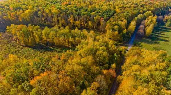 多彩的秋天森林的鸟瞰图. — 图库照片