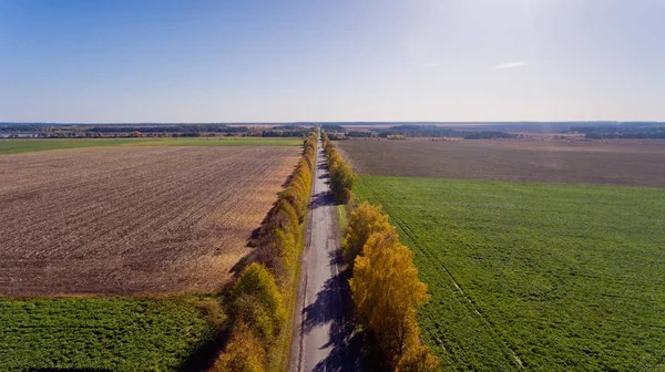 Weg im hellen Herbst. Luftbild. — Stockfoto