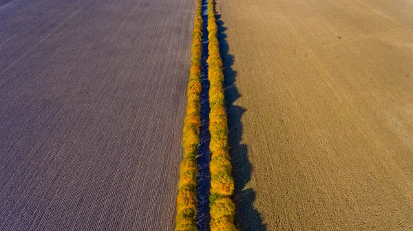 Pathway in the bright autumn. Top view. — Stock Photo, Image