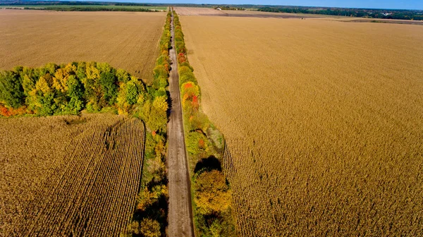 Aerial view of the field autumn road. — Stock Photo, Image