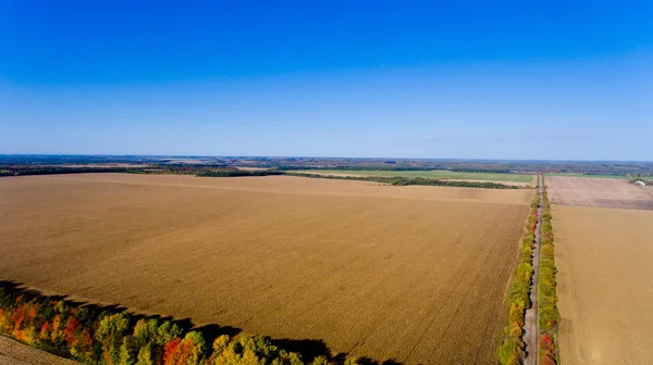 Luftaufnahme von herbstlichen Feldern. — Stockfoto