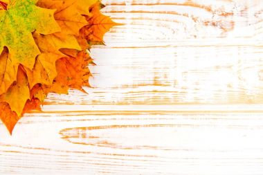 Ahşap beyaz tahta üzerinde renkli yaprakları ile sonbahar arka plan.