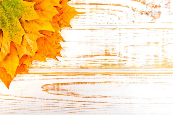 Texturizado vintage rústico branco fundo de madeira com outono folhas amarelas com espaço de cópia . — Fotografia de Stock