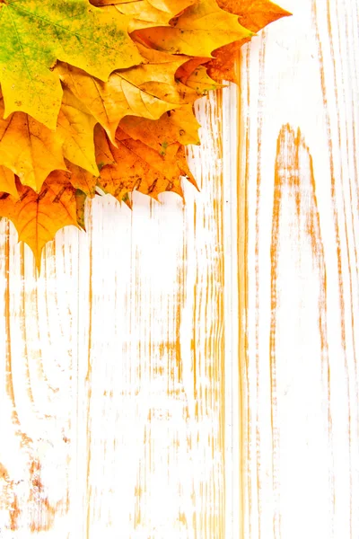 Texturizado vintage rústico branco fundo de madeira com outono folhas amarelas com espaço de cópia . — Fotografia de Stock
