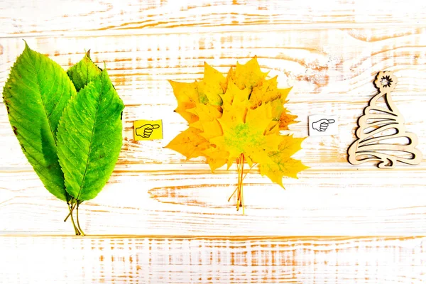 Temporadas: Verão, Outono, Inverno. Folhas em um fundo de madeira branco . — Fotografia de Stock