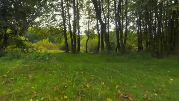 Движение по зеленым деревьям с видом на реку . — стоковое видео