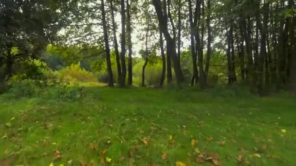 Mouvement à travers les arbres verts surplombant la rivière .