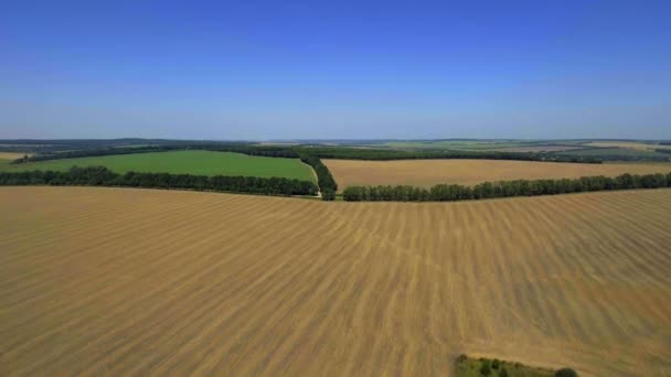 Vista aérea num campo colhido . — Vídeo de Stock