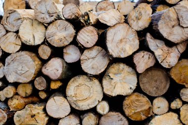 Ahşap doku arka planını günlükleri kesti. Günlükleri yığını. 