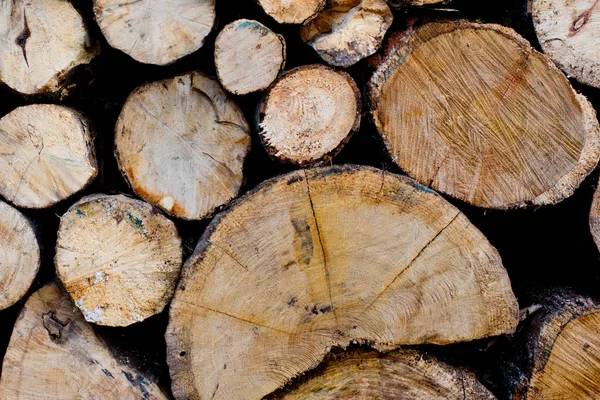 Trästruktur bakgrund av skära stockar. Högen av stockar. — Stockfoto