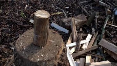 Hazır kütük kesme. Arka plan.