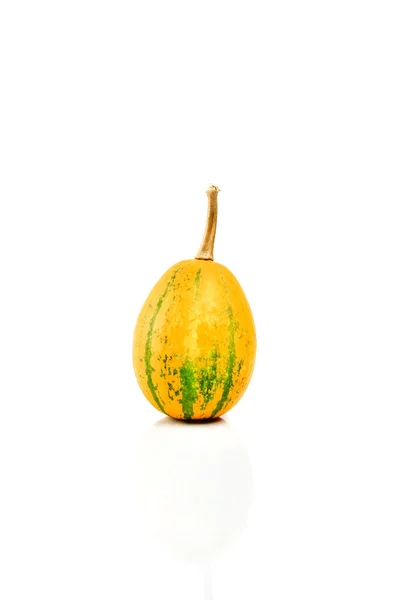 Zucca Isolata Sfondo Bianco — Foto Stock