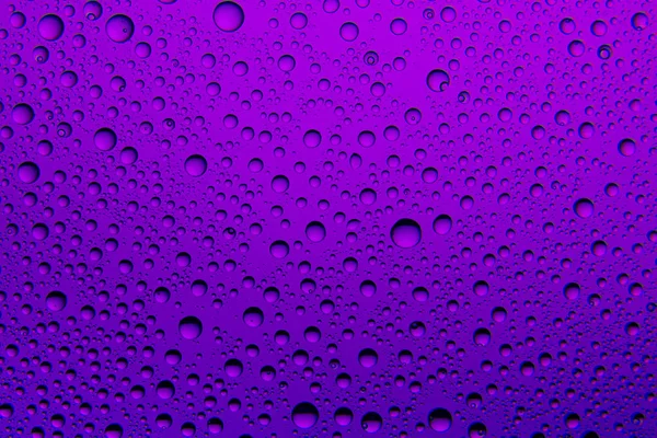 Purpurfarbene Wassertropfen Auf Glas Hintergrund — Stockfoto