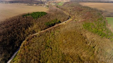 Orman yoluyla asfalt yol. Havadan görünümü.
