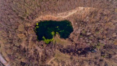 Ormanda vahşi yeşil gölün güzel havadan görünümü. Üstten Görünüm.