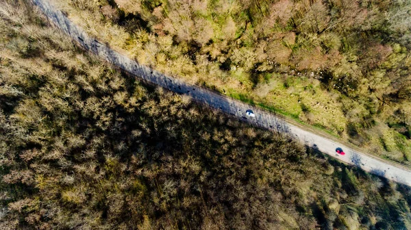 Route Asphaltée Travers Forêt Vue Dessus — Photo