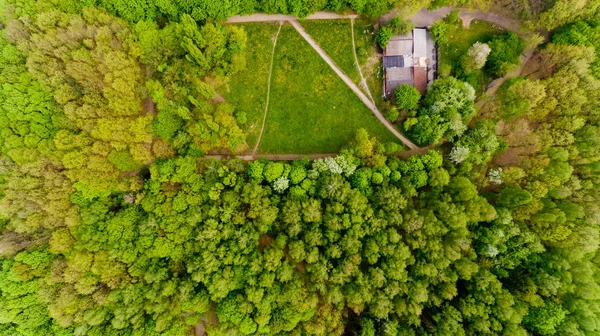 Top view of spring forest. Aerial view.