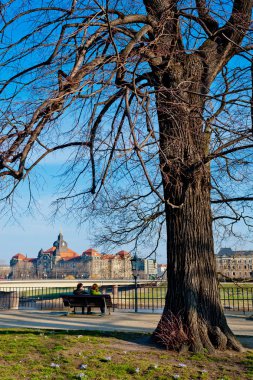 Dresden, Almanya - 02 Nisan 2018: Bir adam ve bir kadın bir ağacın altında bir nehir kıyısında bir bankta oturuyor.