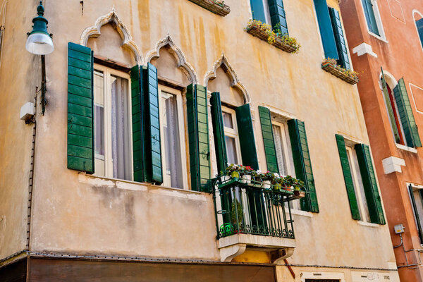 Windows with flowers in the city.