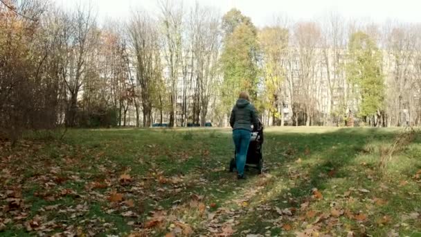 Молодая девушка с коляской гуляет в осеннем парке . — стоковое видео