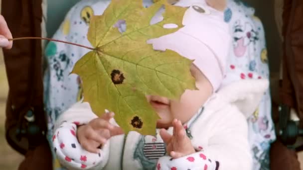 Child plays with autumn leaf. — Stock Video