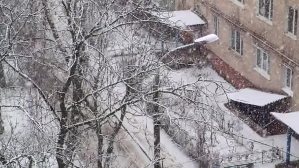 Starker Schneefall fällt auf die Straße. Zeitlupe. — Stockvideo