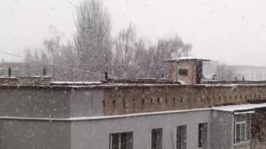 Strong snow falls on the street.