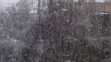 Strong snow falls on the street.