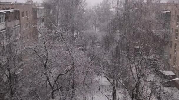 На улице выпадает сильный снег . — стоковое видео
