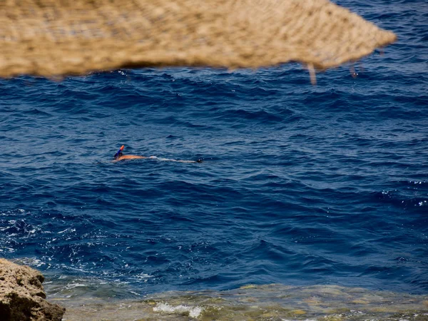 Hombre Snorkel Buceo Mar Rojo —  Fotos de Stock