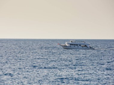 Tropikal denizde sürat teknesi.