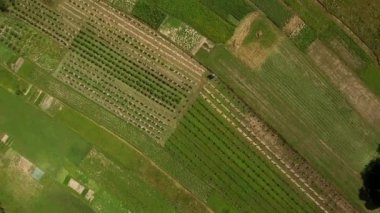 Genç bir bahçe manzarası. Çiftlik alanları.