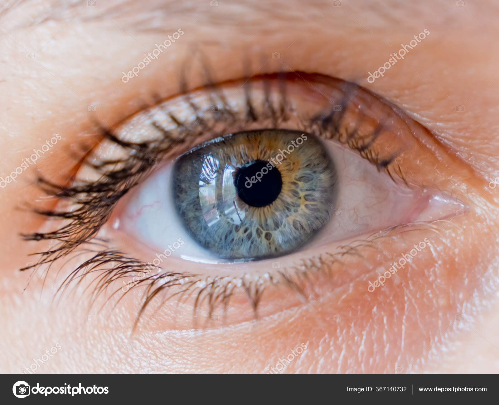Beautiful Woman Eye Close Stock Photo by ©Leonik 367140732