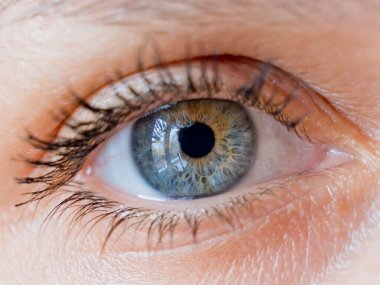 Beautiful woman eye. Close-up.