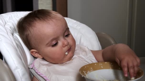Μικρό αστείο κορίτσι τρώει τα χέρια από ένα πιάτο. — Αρχείο Βίντεο