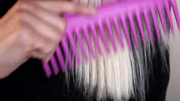 Mulher penteando seu cabelo loiro. Close-up . — Vídeo de Stock