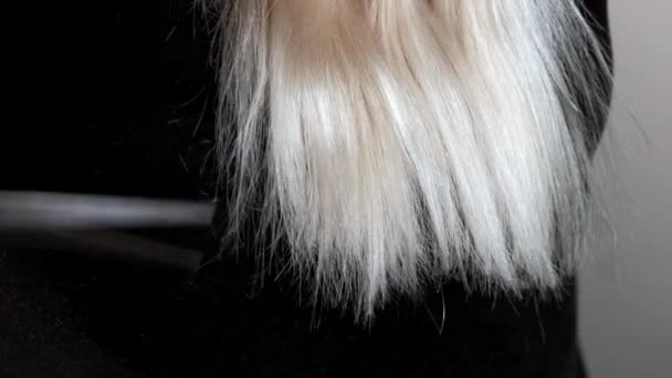 Dívka se ostříhá na blond vlasy. Detailní záběr. — Stock video