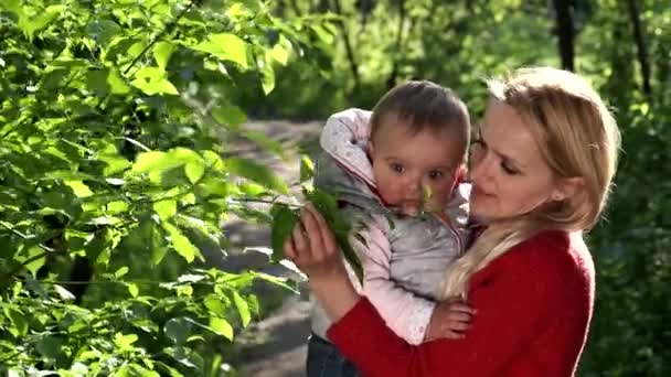 Молодая мать держит маленькую дочь на руках. Прогулка по лесу. День матери . — стоковое видео