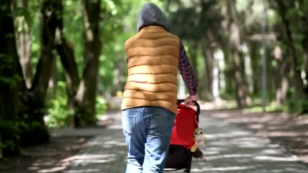 Un hombre con un cochecito corre por un callejón en el parque. La vista desde atrás . — Vídeos de Stock