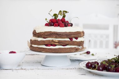 Kakao sünger kek krem şanti ve ahududu, kiraz,