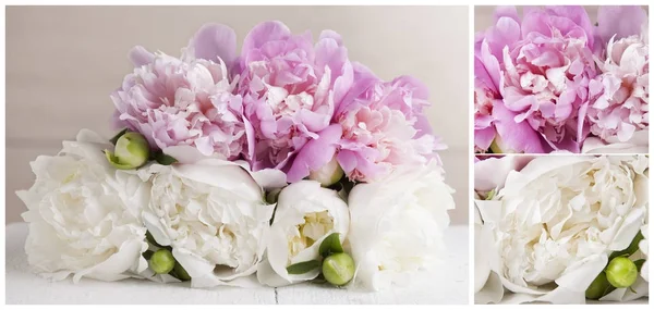bouquet of peonies - light background isolated