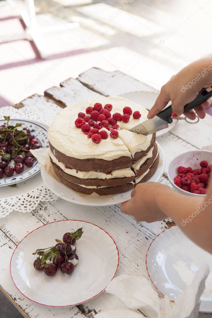 Cocoa Sponge Cake with Whipped Cream and Raspberries, cherries 