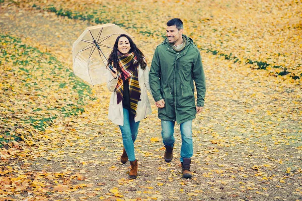 Jovem casal encantador andando no outono no parque — Fotografia de Stock