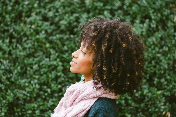 Black woman with afro hair style portrait