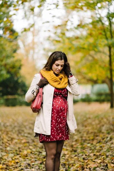 孕妇在秋天在公园 — 图库照片