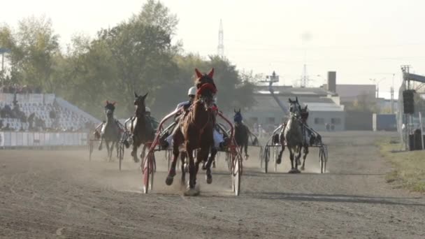 Struggle of harness horses in a race on a stadium - front view (slow motion) — Stock Footage Struggle of harness horses in a race on a stadium - front view (slow motion) Royalty Free Stock Footage