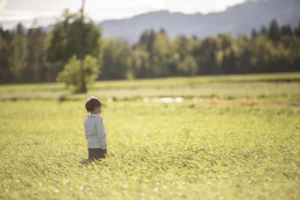 Kind permanent in golven van graan in veld — Stockfoto