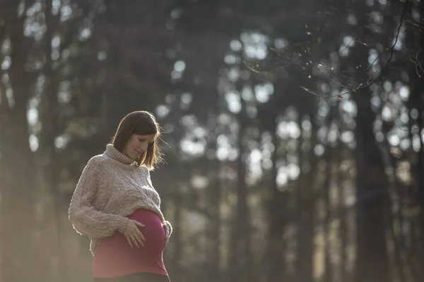 怀孕的年轻女人的温柔朦胧肖像 — 图库照片