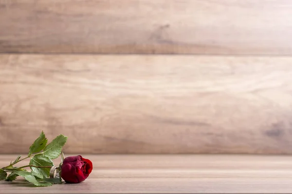 Rosa Rossa con anello di fidanzamento — Foto Stock